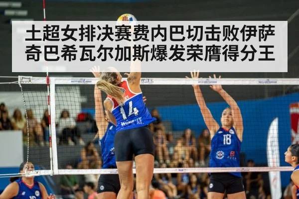 volleyball match action | KaiyunAPP