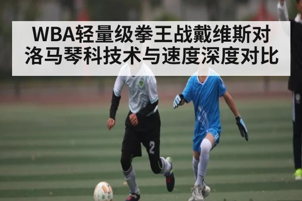 WBA轻量级拳王战戴维斯对洛马琴科技术与速度深度对比